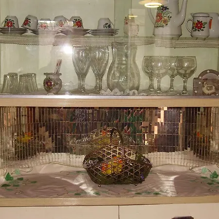 Villa Abruzzo Casa Campagna Collecorvino